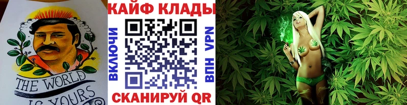 ГАШ Полярные Зори
