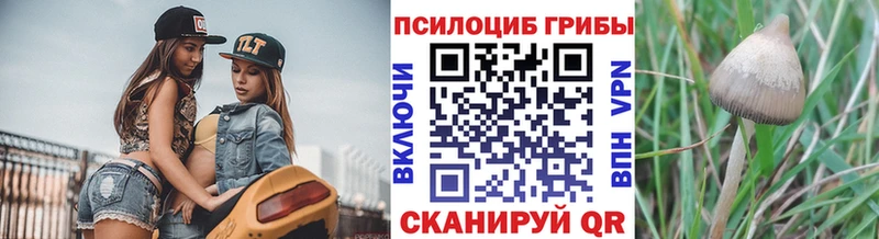 darknet телеграм  Полярные Зори  блэк спрут ТОР  Галлюциногенные грибы ЛСД  закладка 